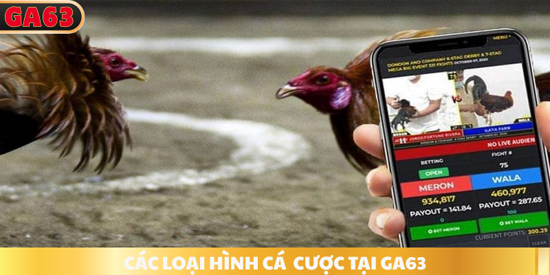 Các loại hình đánh giá tại ga63