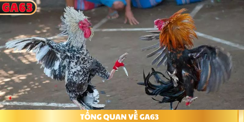 giới thiệu ga63
